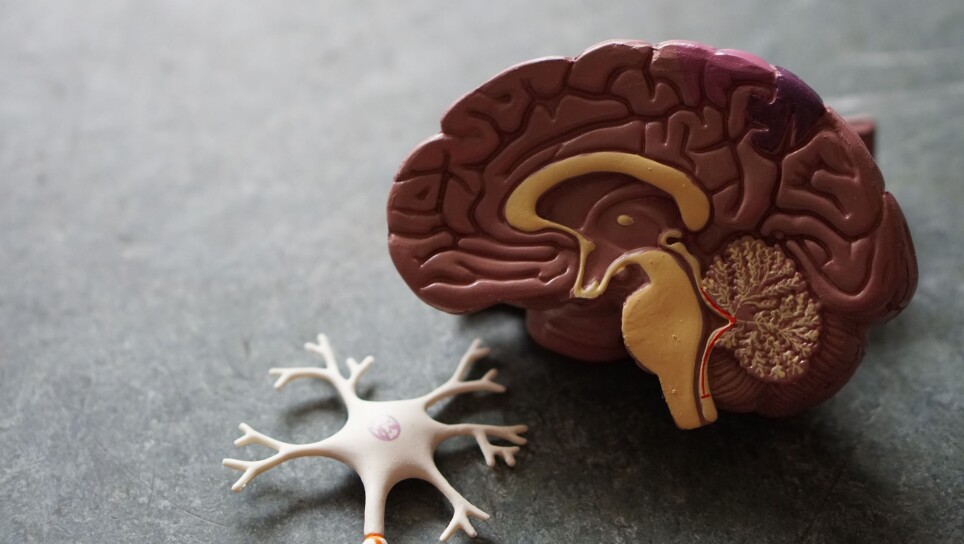 There is always electrical activity in the brain, both when you are asleep and awake. In total, the activity can be measured with EEG, a method that can be used to register this activity.