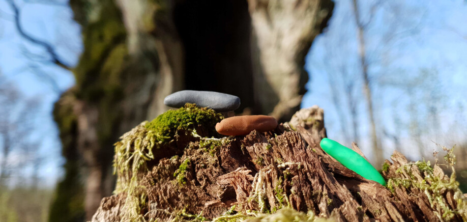 Previous research has shown that such 'artificial caterpillars' work well to study various predators' search for food.