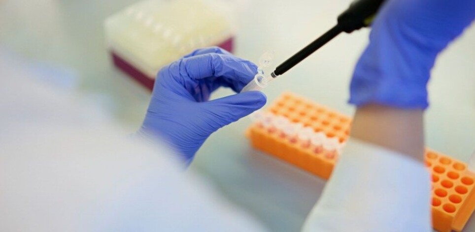 Using bacteria and other microbes to produce goods, feed and medicines has been dubbed 'biofabrication' and has been tested in various formats around the world in recent years.