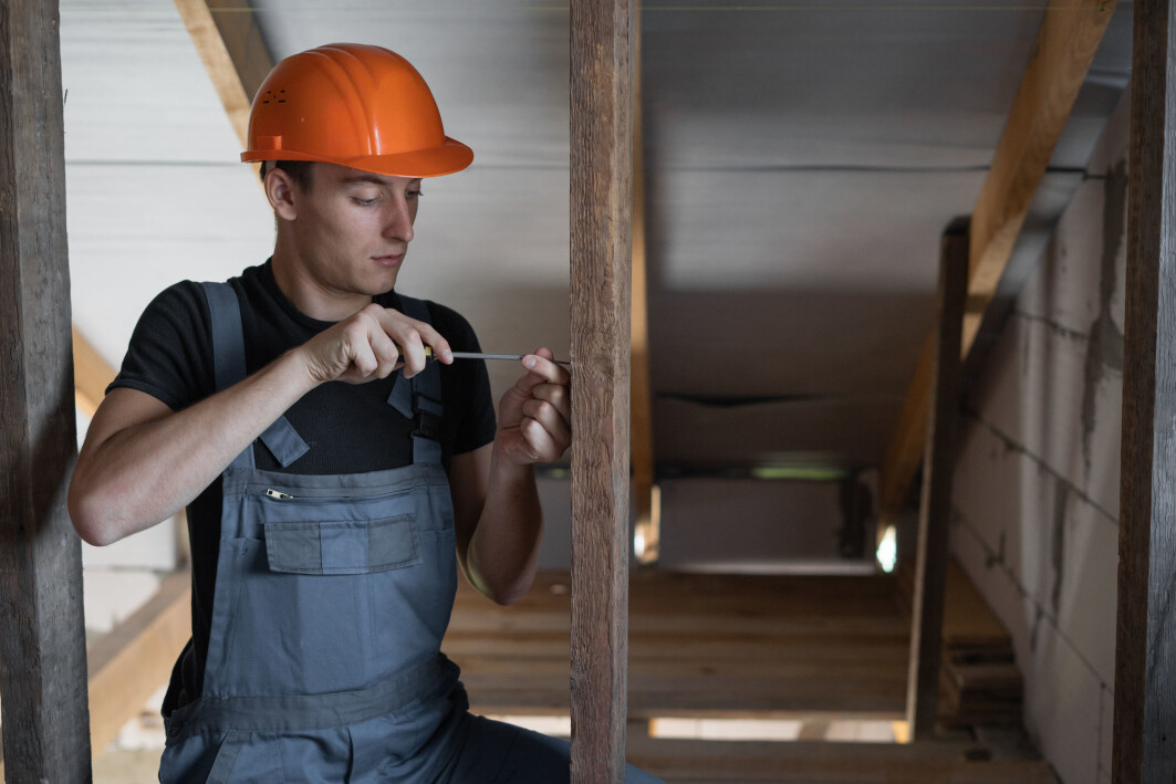 The vast majority of Polish and Lithuanian working immigrants now work full-time in permanent positions. Many earn annual wages of over NOK 450 000. But how well integrated are they in Norway? The vast majority of Polish and Lithuanian working immigrants now work full-time in permanent positions. Many earn annual wages of over NOK 450 000. But how well integrated are they in Norway?