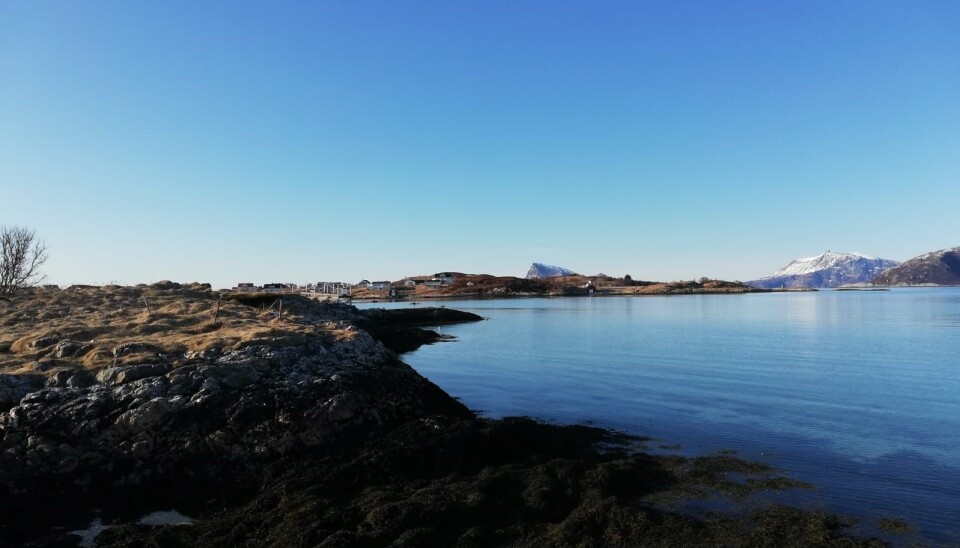 Bright sunny day ideal for marine optical remote sensing. Snow has already melted, and we can see calm and clear waters in Sommaroy.