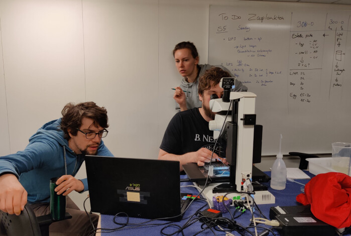 First preliminary data and insights are achieved looking at a zooplankton from South of the Polar Front. First preliminary data and insights are achieved looking at a zooplankton from South of the Polar Front.