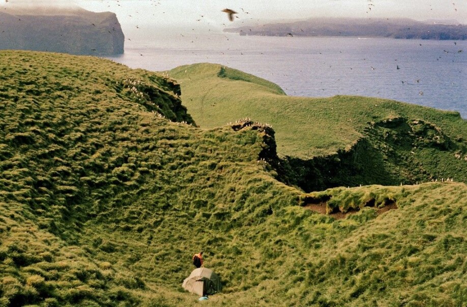 130 years of catch data at Westman Islands (Vestmannaeyjar) off Iceland show that global warming is contributing to population decline in the world's largest puffin colony.