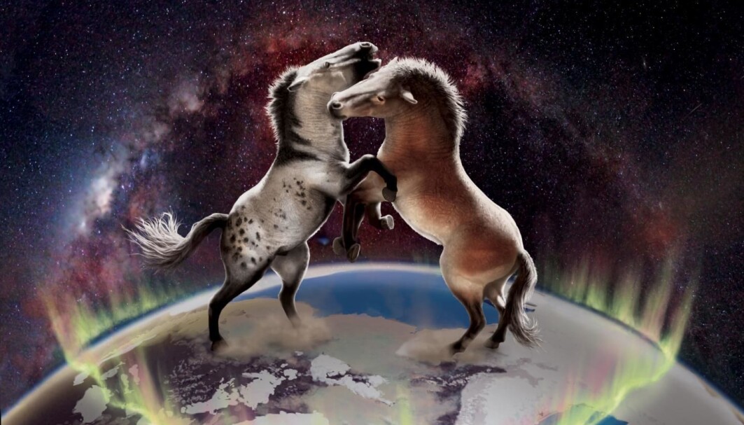 Horses from North America and Europe were not completely isolated from each other over the last one million years. Horses from North America and Europe were not completely isolated from each other over the last one million years.
