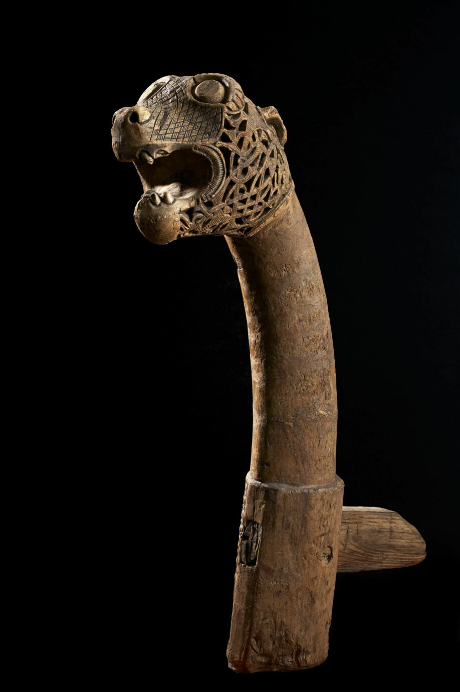 This is what the serpent head from the Oseberg ship looks like.