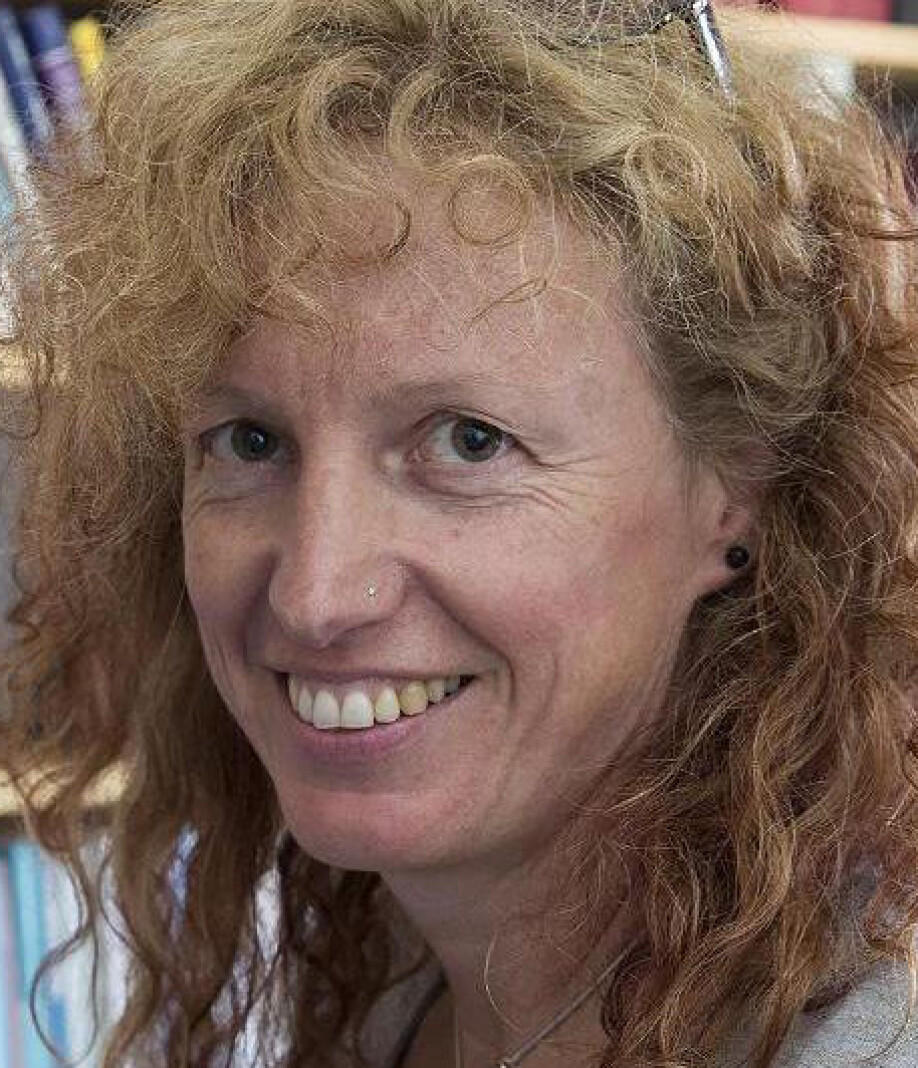 Prof. Gunhild Hoogensen Gjørv is employed at the Centre for Peace Studies at UiT, and contributed to the report while engaged in a project at the Peace Research Institute Oslo (PRIO).