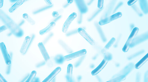 The benefits of probiotics could change the impact of dangerous bacteria in oceans The benefits of probiotics could change the impact of dangerous bacteria in oceans