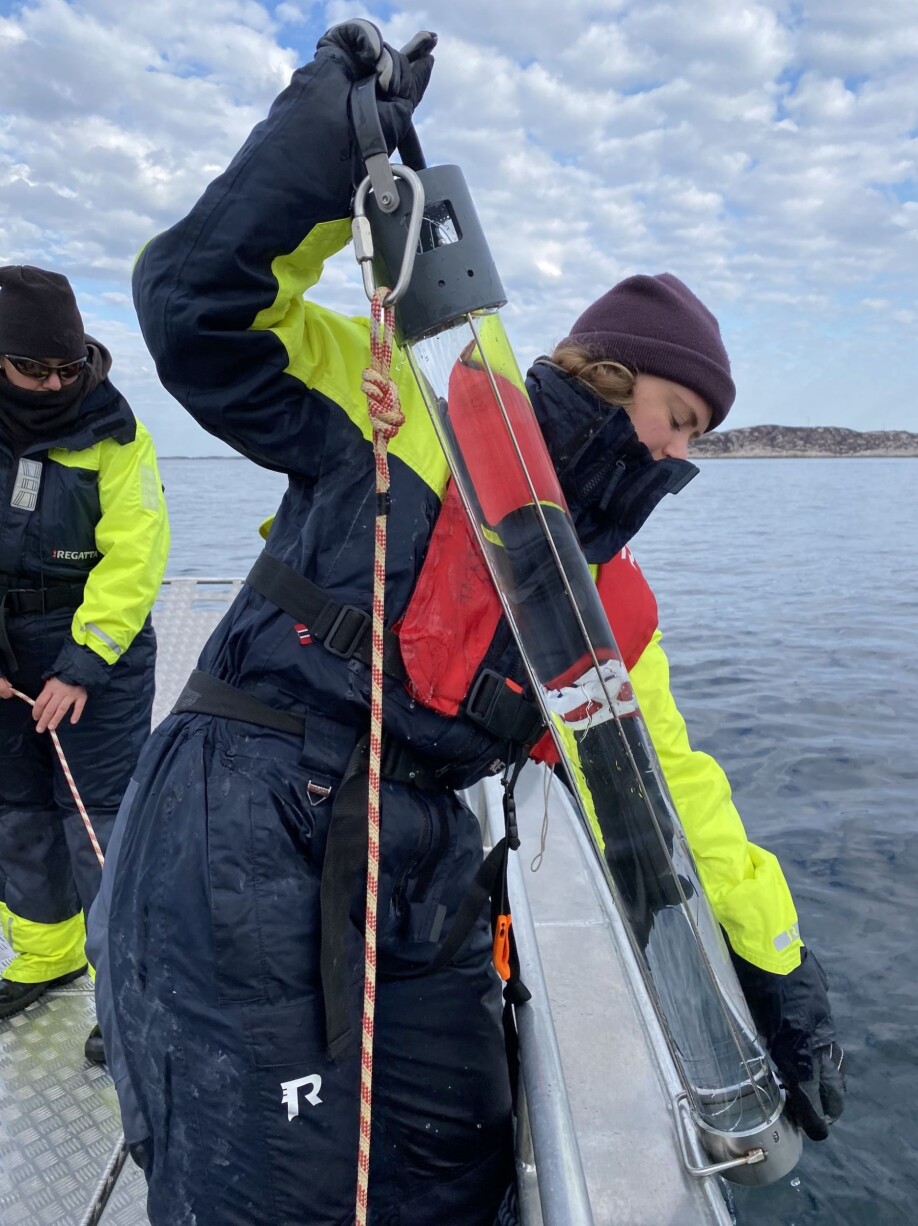 Annecken Nøland retrieves the NTNU-designed seawater sampler during a recent research trip to Mausund Field Station.