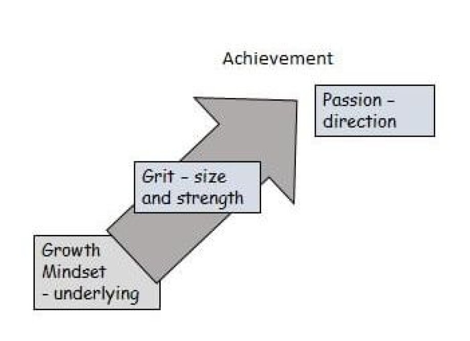 Positive attitude – or mindset – is the basis for a person’s success. Self-discipline – or grit – determines the strength and scope of the effort. Passion determines the direction, that is, what a person becomes good at.