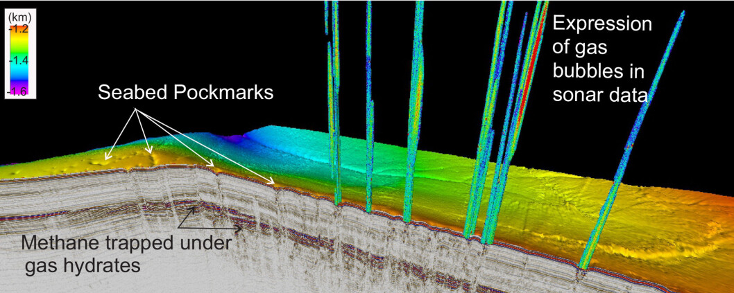 Expression of gas in the sediment and in the water column when it escapes to the ocean (gas flares). Gas hydrates, the frozen form of the gas in the sediment, forms until a certain depth and more gas accumulated underneath. Expression of gas in the sediment and in the water column when it escapes to the ocean (gas flares). Gas hydrates, the frozen form of the gas in the sediment, forms until a certain depth and more gas accumulated underneath.