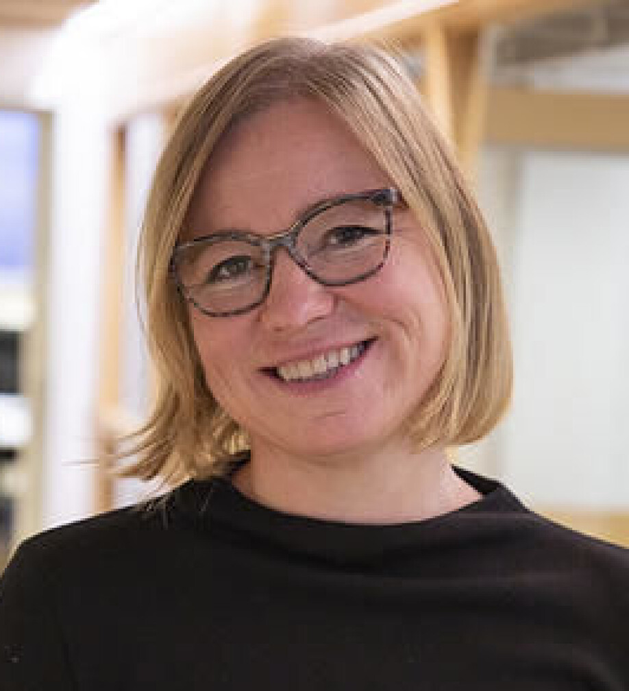 Professor and CAS project leader Mariann Bjelland Kartzow.