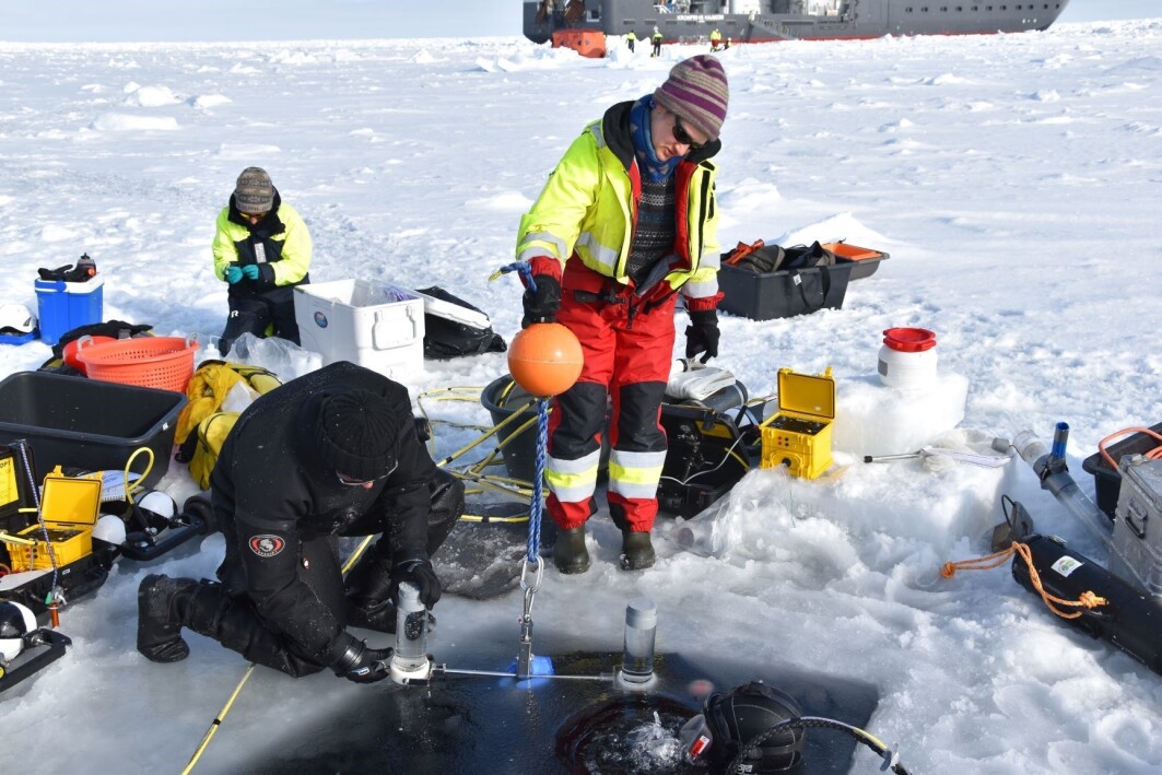 : Divers Peter Leopold and Mikko Vihtakari retrieving sediment traps from below the sea ice for Yasemin Bodur. : Divers Peter Leopold and Mikko Vihtakari retrieving sediment traps from below the sea ice for Yasemin Bodur.