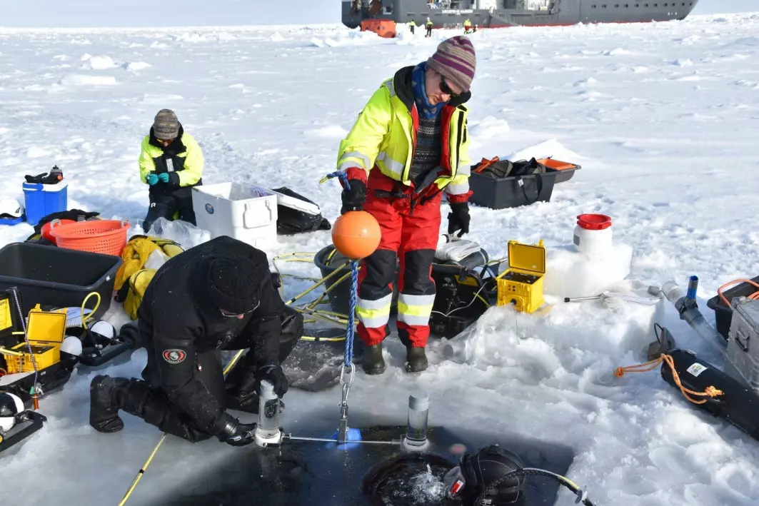 : Divers Peter Leopold and Mikko Vihtakari retrieving sediment traps from below the sea ice for Yasemin Bodur.