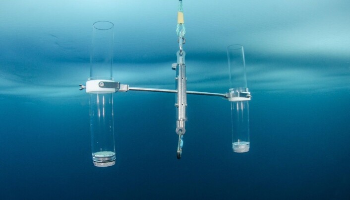 Sediment traps positioned below sea ice. Sediment traps positioned below sea ice.