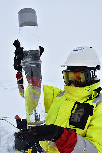 Yasemin Bodur inspecting the content of a sediment trap retrieved by divers. Yasemin Bodur inspecting the content of a sediment trap retrieved by divers.