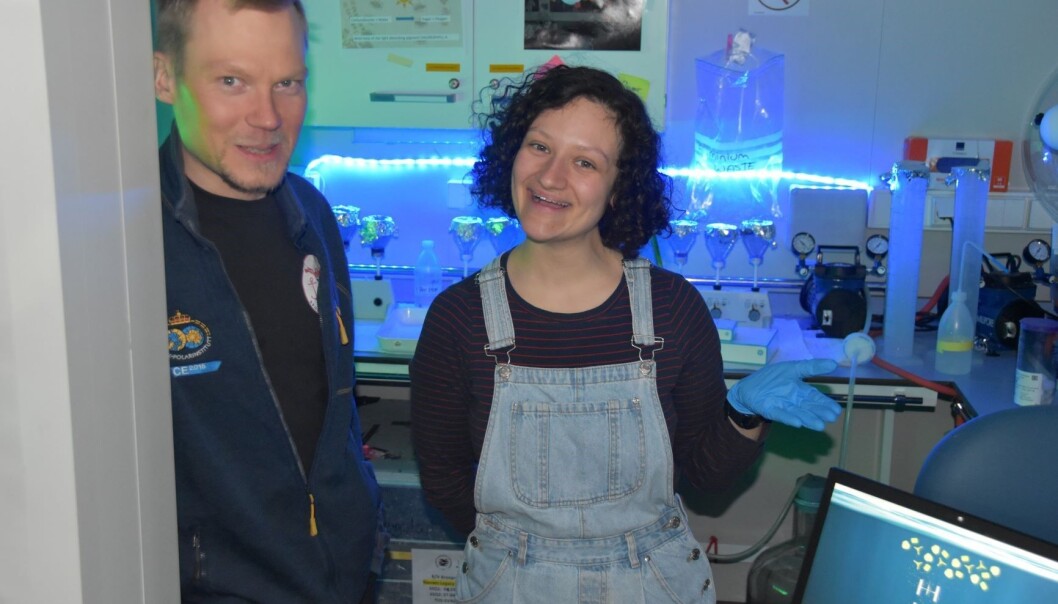 : Yasemin and Mikko in the sediment trap laboratory. : Yasemin and Mikko in the sediment trap laboratory.