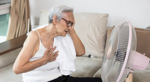 Why do people die during heatwaves?