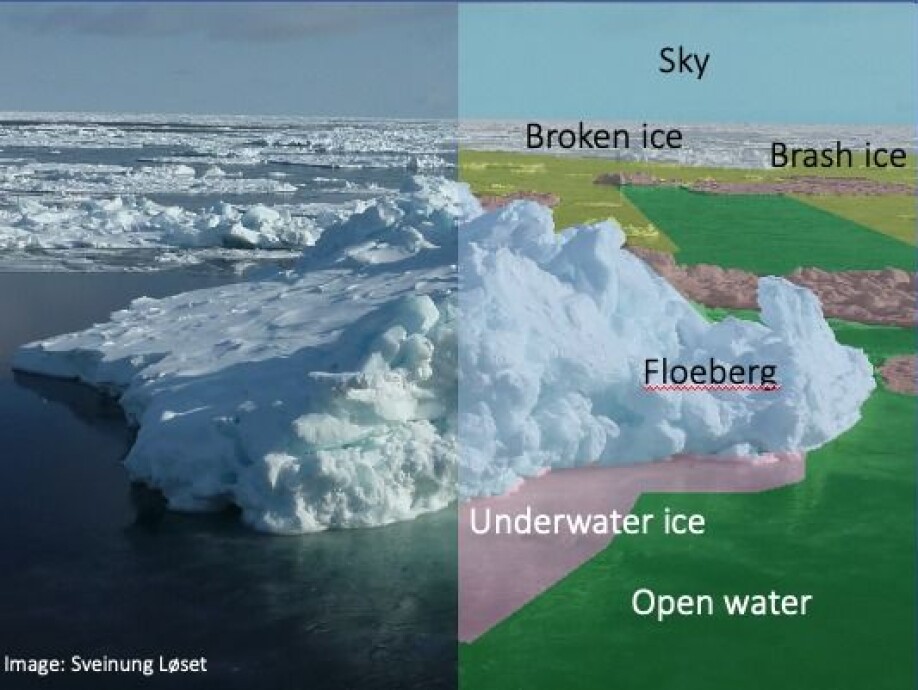 An example of what the eye sees on the left, and what 'Knut' sees on the right.