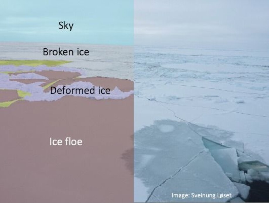Another example of what you see (left) and what 'Knut' sees (right).