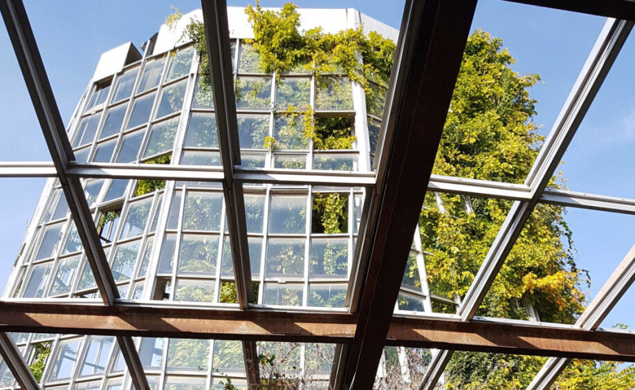 ) The greenhouse of the gene bank at the Institute of Botany, the National Academy of Sciences of Armenia. The windows were broken long ago, so there is nothing to stop the trees from taking over.