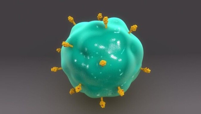 Model of an antigen-presenting cell. The cell has found something foreign and exhibits pieces of the foreign substance on its surface. These pieces are called antigens. Antigens are simply characteristic pieces of viruses, bacteria or other foreign elements. They can also be part of the body's own cells. Model of an antigen-presenting cell. The cell has found something foreign and exhibits pieces of the foreign substance on its surface. These pieces are called antigens. Antigens are simply characteristic pieces of viruses, bacteria or other foreign elements. They can also be part of the body's own cells.
