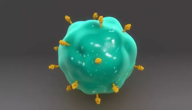 Model of an antigen-presenting cell. The cell has found something foreign and exhibits pieces of the foreign substance on its surface. These pieces are called antigens. Antigens are simply characteristic pieces of viruses, bacteria or other foreign elements. They can also be part of the body's own cells.