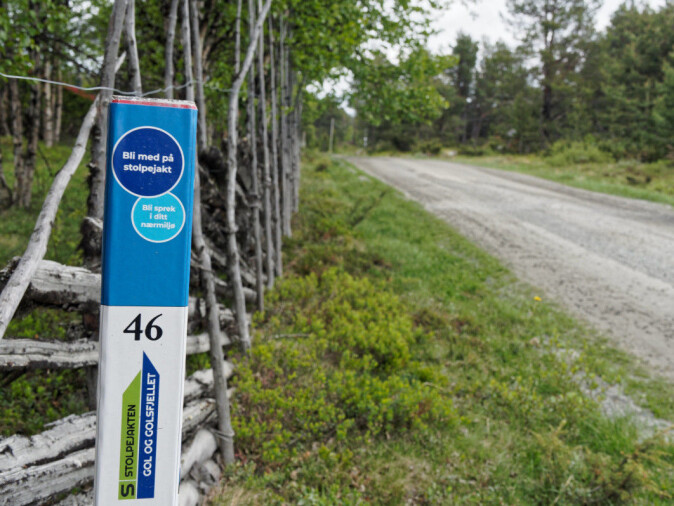 From pole hunting to T-routes - in the last year, several have 'discovered' Norwegian nature. Some go on their own map, others pay for a guide. From pole hunting to T-routes - in the last year, several have 'discovered' Norwegian nature. Some go on their own map, others pay for a guide.