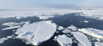 Is the summer in the Barents Sea hot this year?