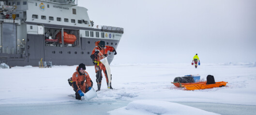 Aliens in the Arctic? Aliens in the Arctic?