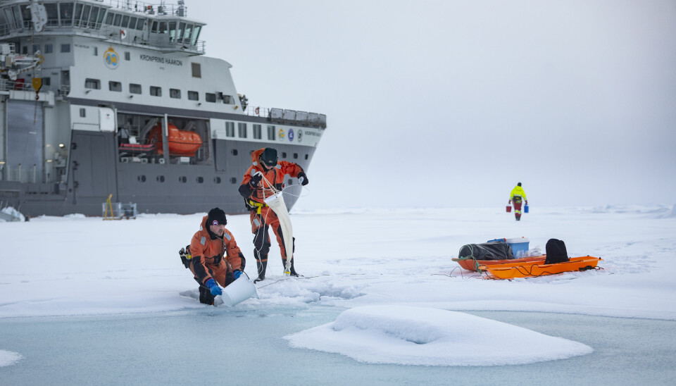 Sampling in a melt water pond on top of the sea ice in the northern Barents Sea