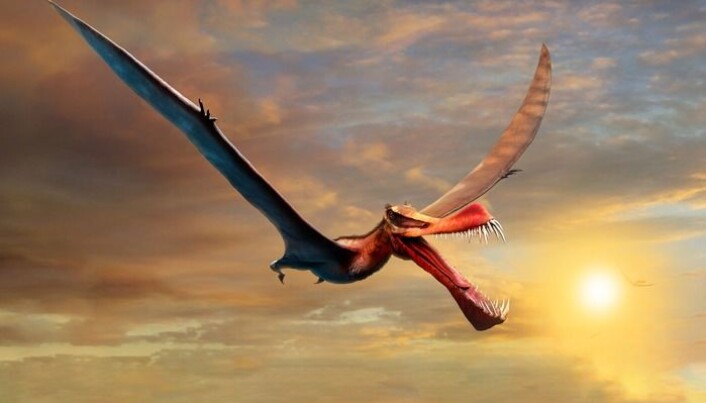 Here’s what scientists think the flying lizard Thapunngaka shawi looked like. Here’s what scientists think the flying lizard Thapunngaka shawi looked like.