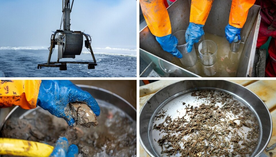 Many places in the Arctic the seafloor consist of soft sediments. The animals living in the sediment are sampled with a box corer – a large and heavy metal box without bottom that is pushed deep into the sediment. Upon retrieval, scientists carefully wash the sediment collecting small worms and mussels. These are identified for species and analyzed for their isotope composition.
