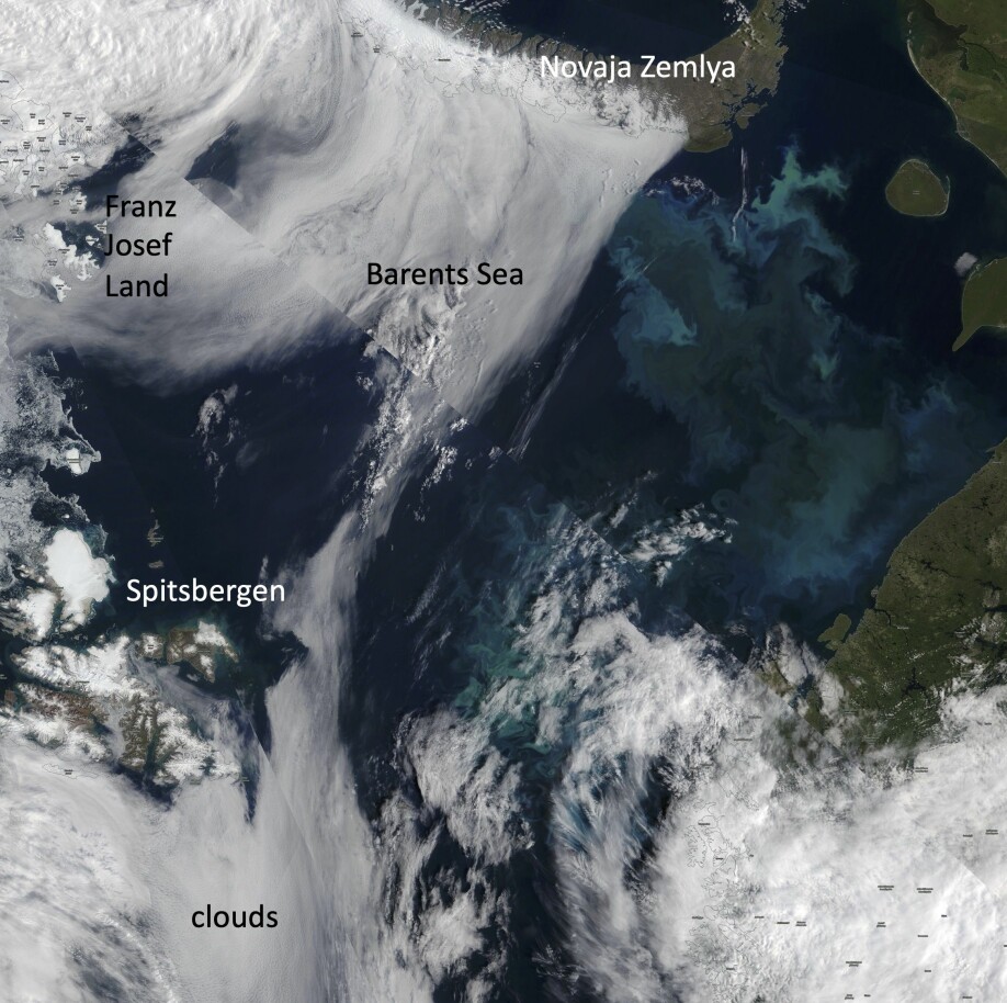 Figure 3: Algae can be observed from space as their presence or absence can change the color of the ocean. Satellite picture of a massive bloom of tiny algae called coccolithophores in the Barents Sea.