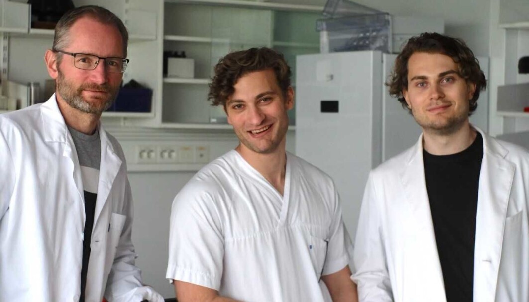 Karl Johan Tronstad, August Hoel and Fredrik Hoel are among the researchers who participated in the new study. Karl Johan Tronstad, August Hoel and Fredrik Hoel are among the researchers who participated in the new study.