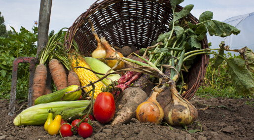 Is organic food healthier than other foods?