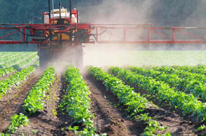 Spraying vegetables. Spraying vegetables.