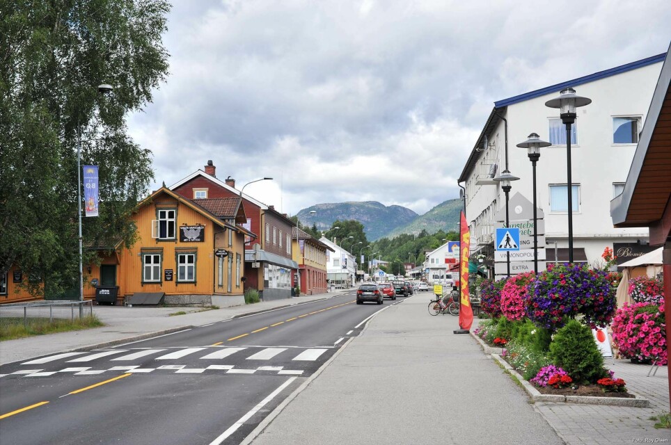 Researchers are trying to figure out what climate measures would work best in villages like this one in Midt-Telemark (formerly Bø municipality).