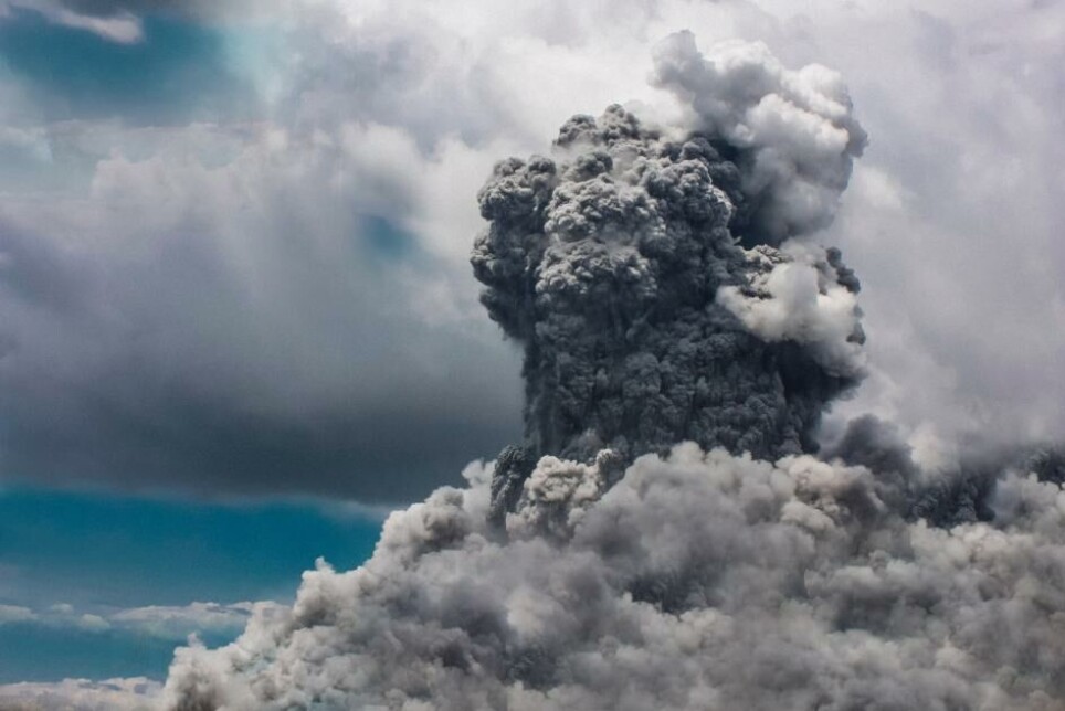 More than 95 percent of marine and 70 percent of terrestrial species were eliminated in he third mass extinction event.