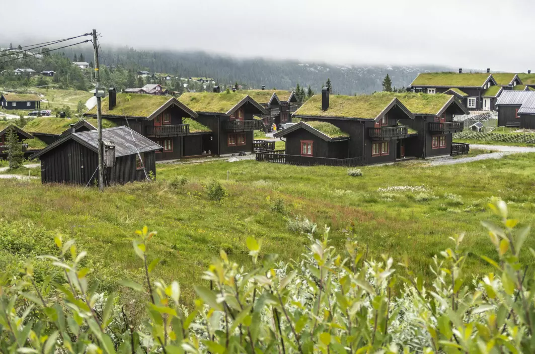 If Norwegians are going to keep building cabins, they’ll have to be smaller and closer together, one researcher says. The cabins in these pictures are located in Eggedal, about 135 km northwest of Oslo.