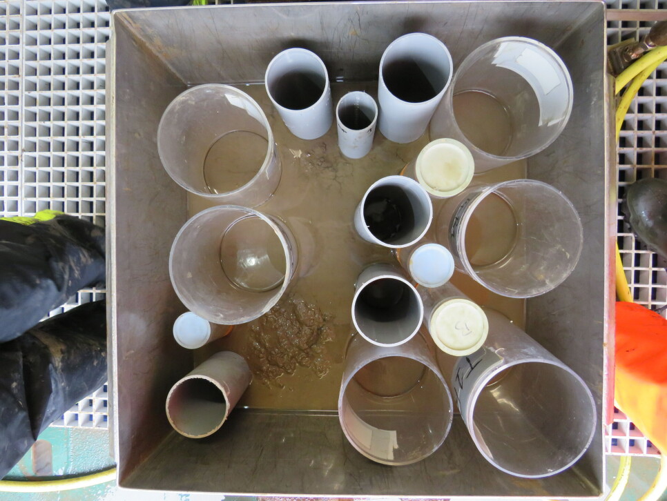 A piece of the seafloor brought up in the box core with numerous sub cores for different types of samples.