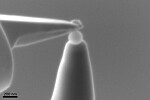 Very to the point. A minute needle is used to pick up a spherical nanoplastic particle in preparation for analysis using atom probe tomography. The photo is taken with an electron microscope at the NTNU Nanolab.