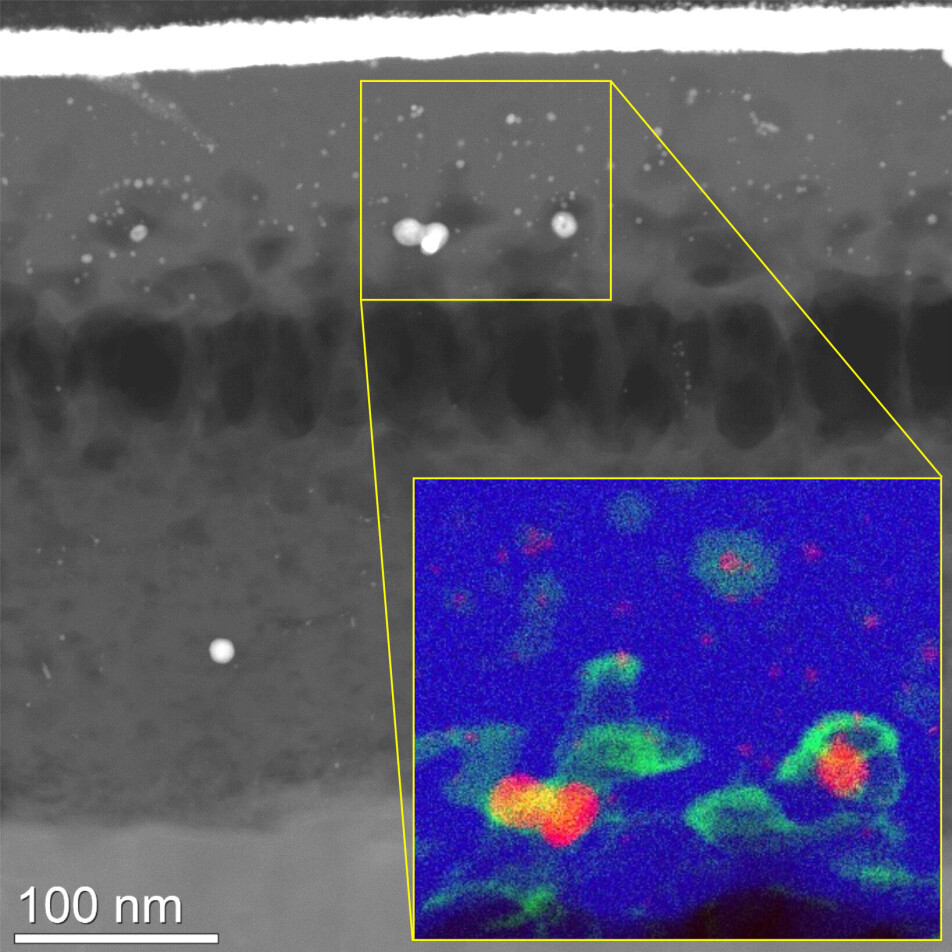 Researchers have encapsulated protein-covered gold nanoparticles in a microscopic glass droplet. This technique enables the chemical analysis of materials under an electron microscope. The gold is displayed in red, the proteins in green and the glass in blue.