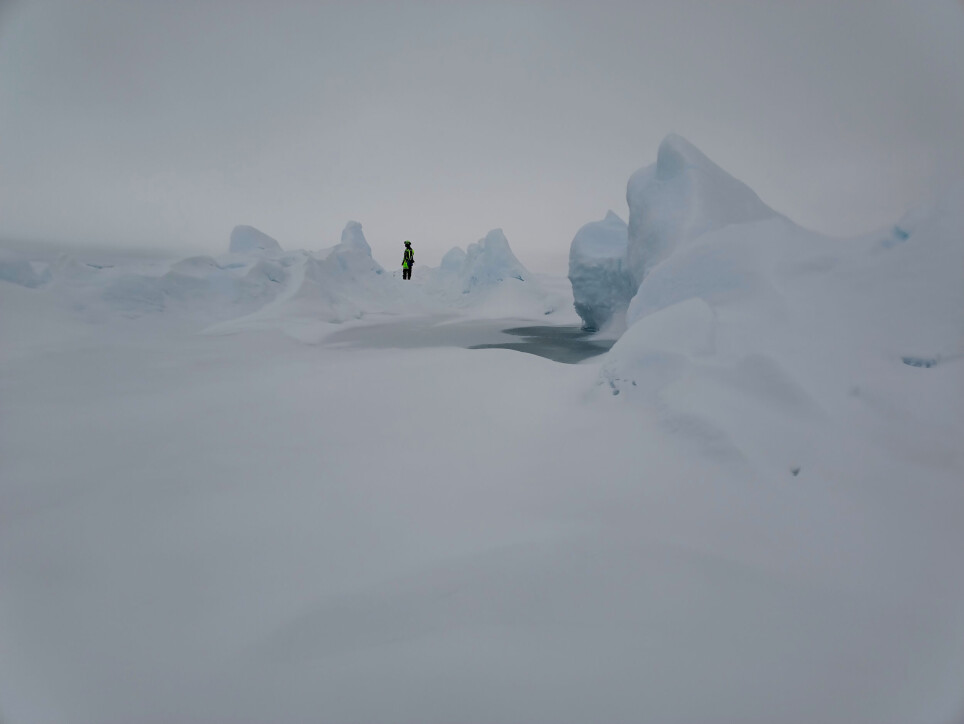 Ice ridges