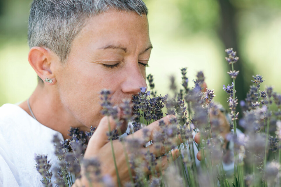 The sense of smell developed early in the history of evolution. That's why there are great similarities between very different species.