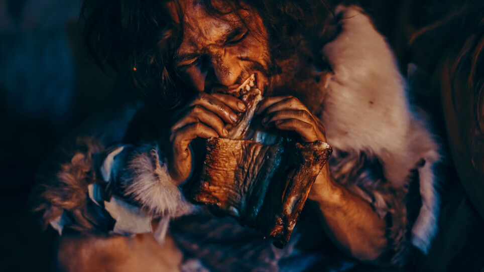 “All early human species probably had the GHRd3 variant. Then something happened after the divergence of Neanderthals and modern humans,” says Marie Saitou.