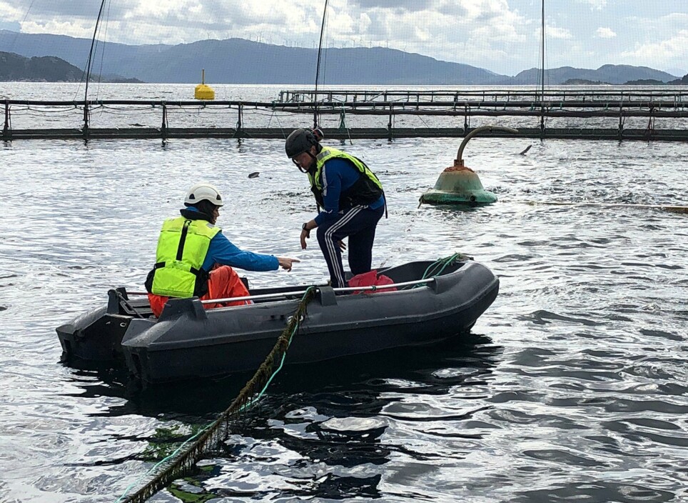 In the pilot study, Lisa-Victoria Bernhardt collected water samples from different depths with the help of a water sampler from a dinghy inside a PD-diagnosed net-pen. This was carried out to find the most suitable approach to monitor SAV in seawater at fish farms.