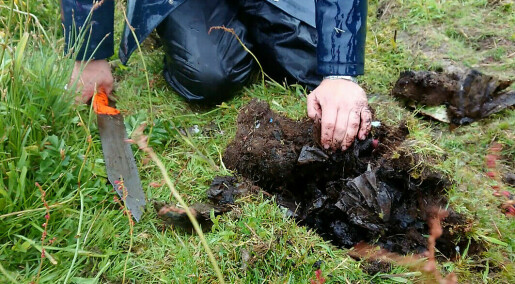 Fifty years of plastic trash hidden beneath the sod