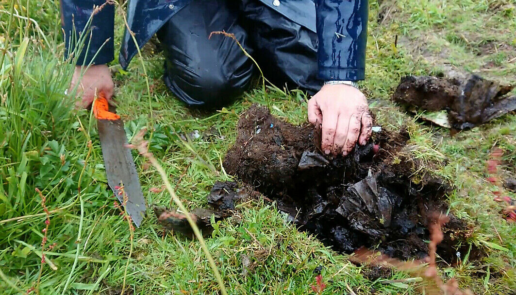 Microorganisms, animals and plants have had to adapt to a landscape full of plastic on the island of Lisle Lyngøyna. Microorganisms, animals and plants have had to adapt to a landscape full of plastic on the island of Lisle Lyngøyna.