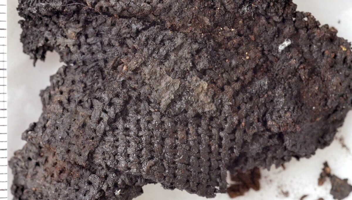 Rarest Cloth You’re looking at one of the oldest pieces of cloth in the world