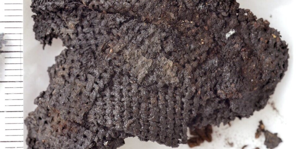 This piece of cloth is from the Stone Age. For 60 years, academics have debated whether it is made of wool or linen. So what is it really made of? The answer will surprise you.